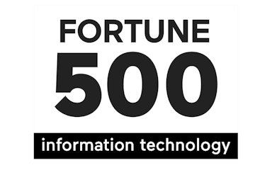 Fortune 500 IT
